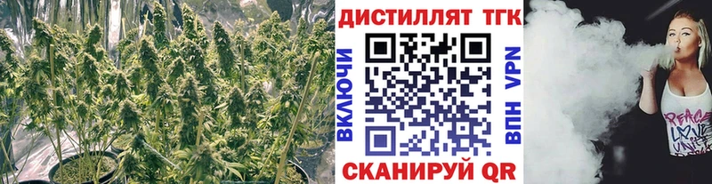 ТГК гашишное масло  Ивантеевка 